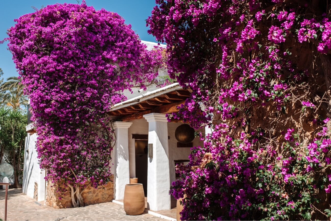 North & interior Ibiza